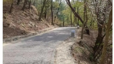 가족 여행 갔을 때 아빠 특.jpg