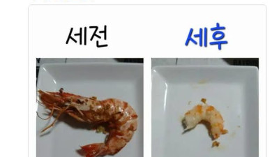 세전 vs 세후