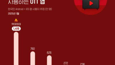 한국인이 가장 많이 사용하는 OTT 앱