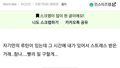 내향성 고양이