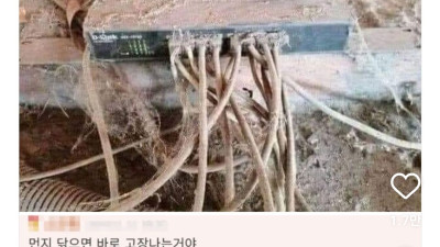 작동하고 있다면 건들지마라