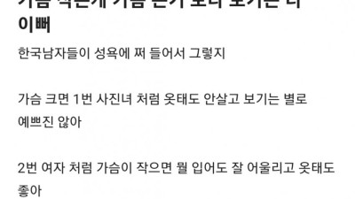 가슴 작은 게 더 보기 좋다는 블라인드