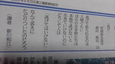 13살 일본아이가 쓴 글